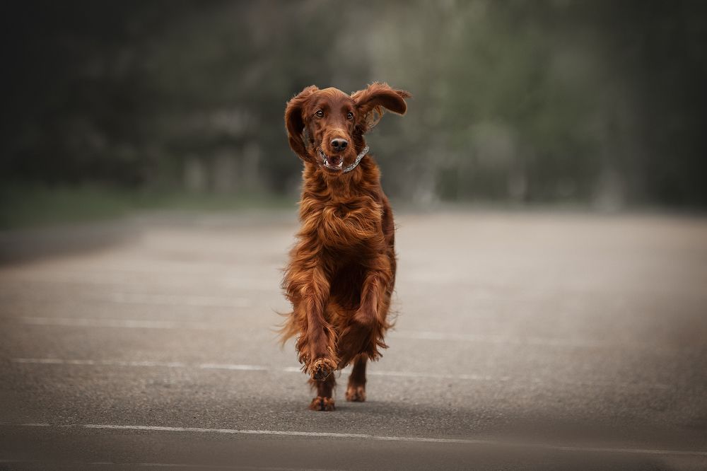 Photograph by Динара