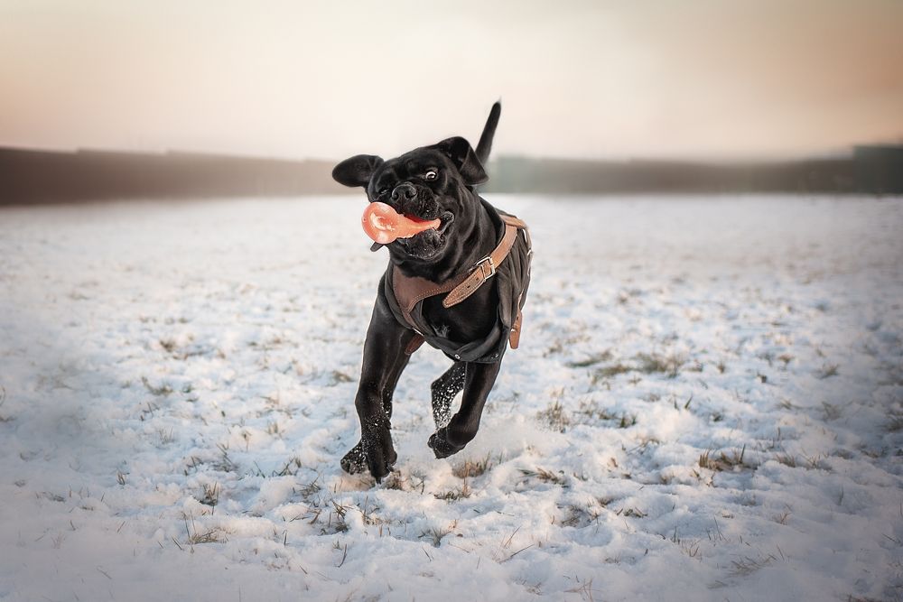 Photograph by Динара