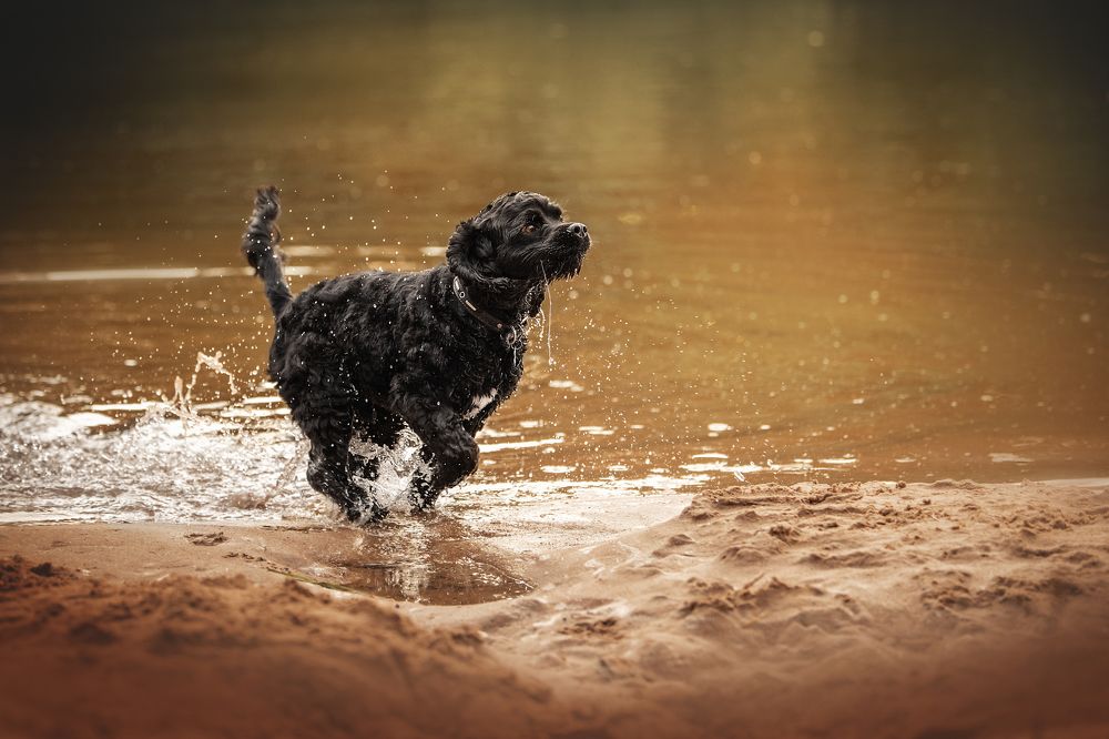 Photograph by Динара