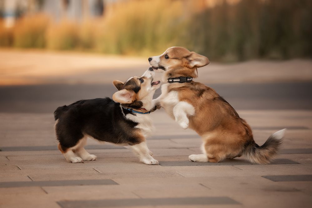 Photograph by Динара