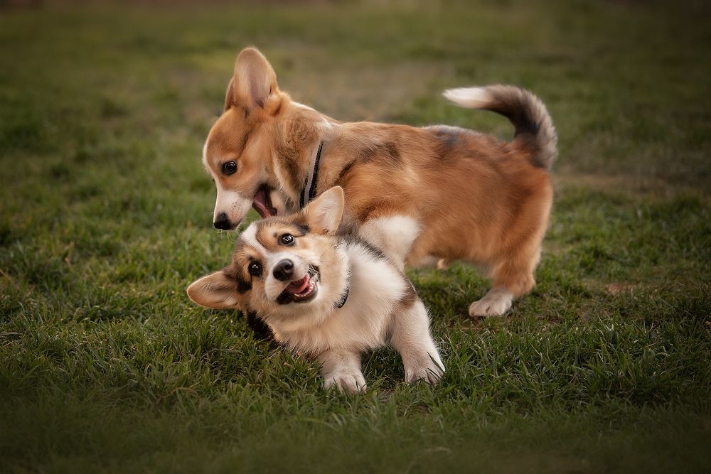 Photograph by Динара