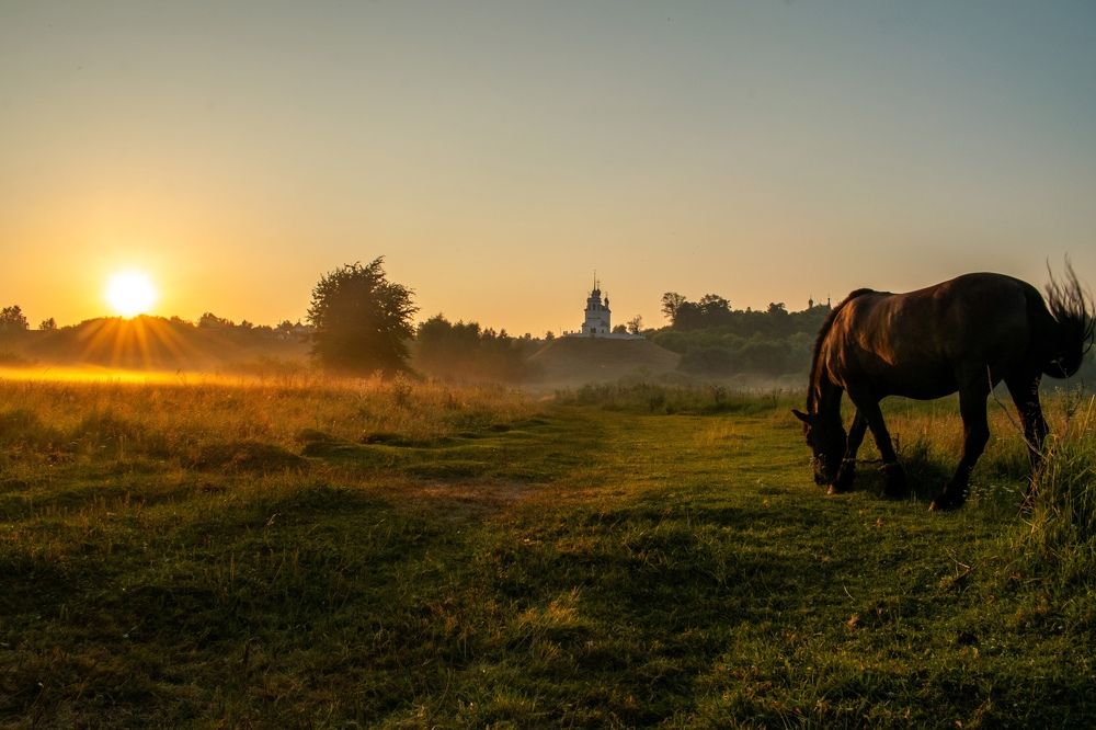 Photograph by Семён Чернобельский