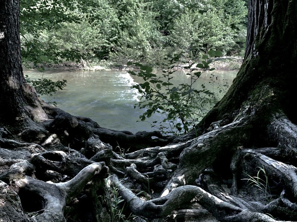 Фотография автора Руслан Лукьяненко