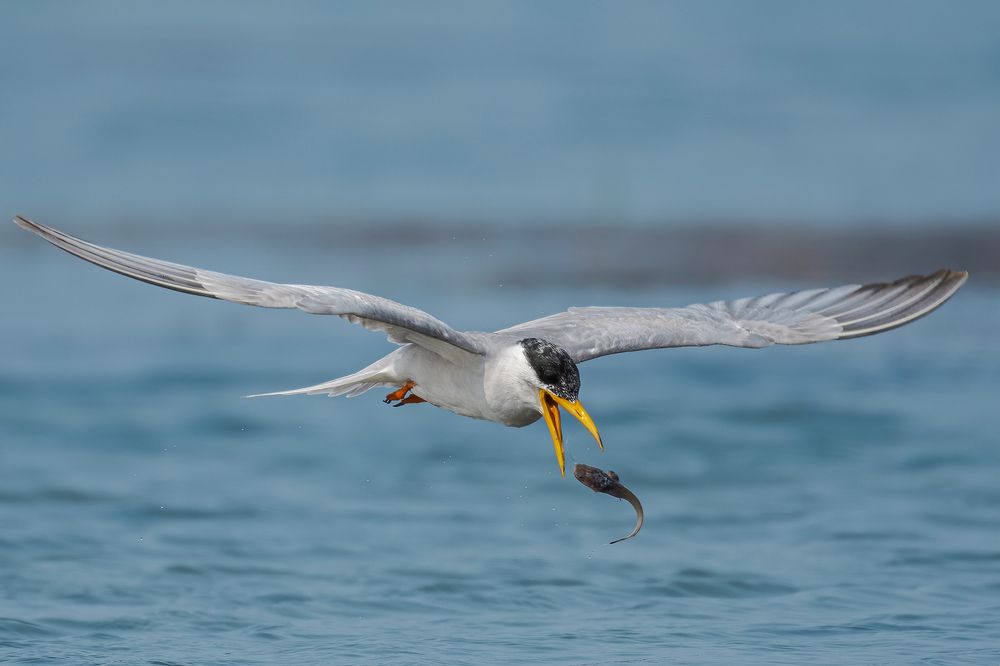Photograph by Sumanta Hazra