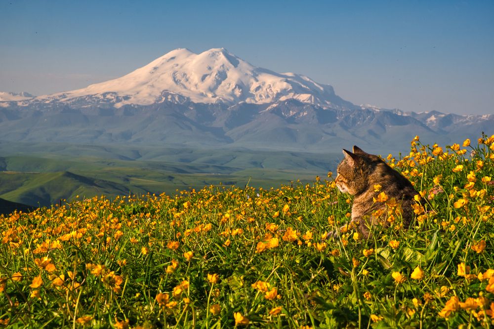 Photograph by Никита Ветренный