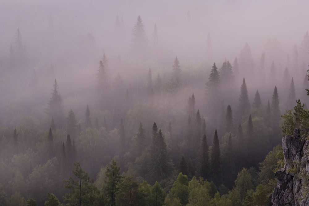 Photograph by Елена Перминова