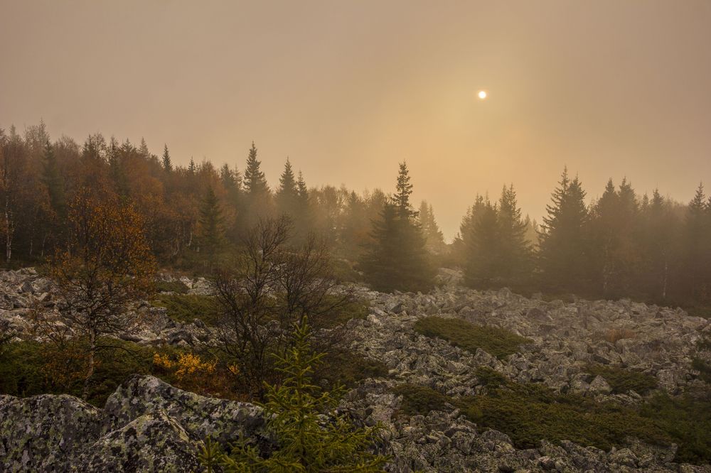 Photograph by Елена Перминова