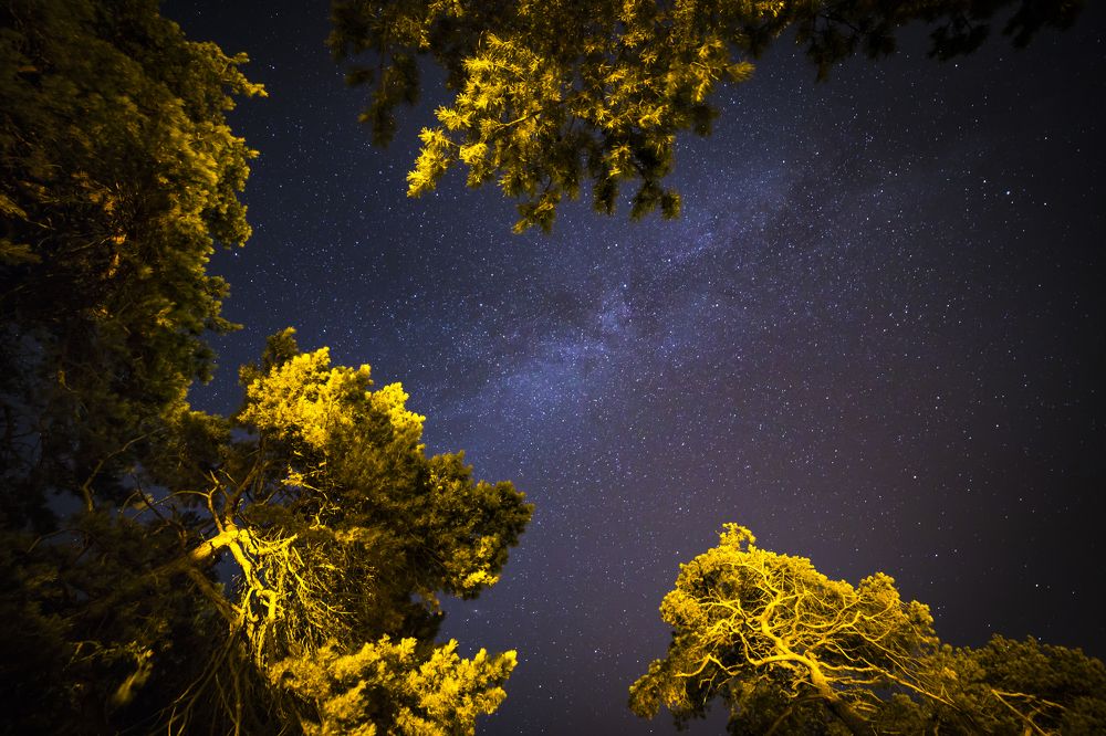 Photograph by Иван Нагаев