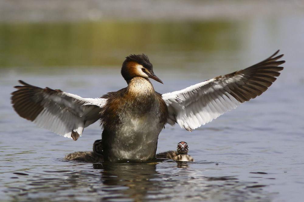 Фотография автора Евгений