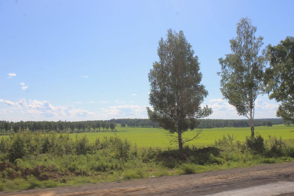 Photograph by Галина Радчук