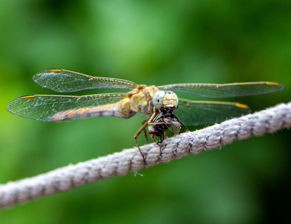 Photograph by Сергей Маркелов