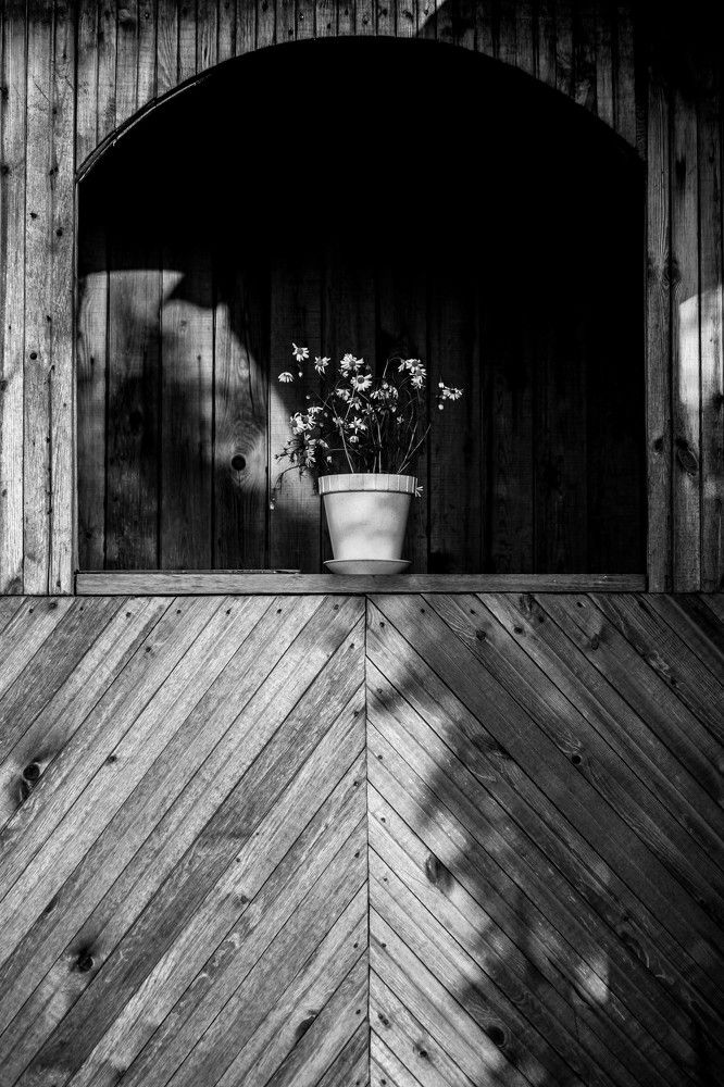 Photograph by Елена Федорова