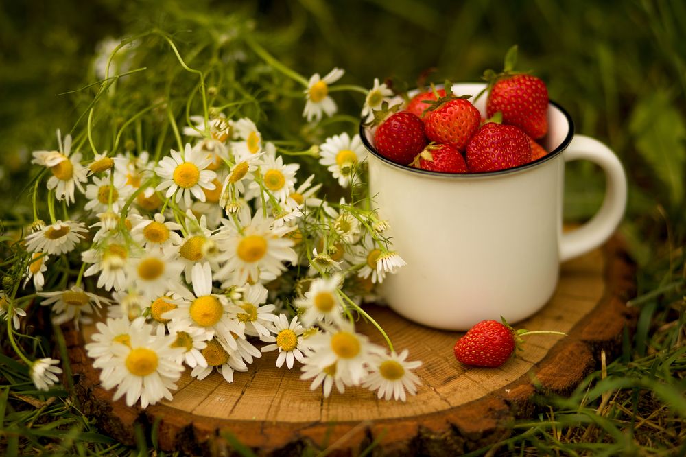 Photograph by Татьяна Бушук