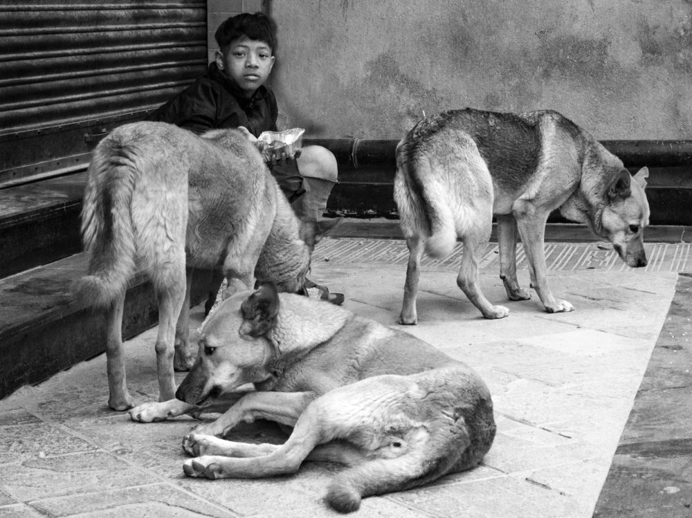 Photograph by ANTON GUTMANN