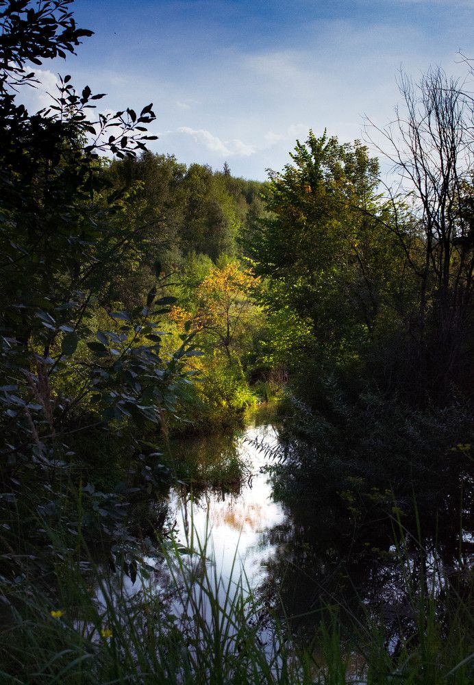 Photograph by Даша Камардина