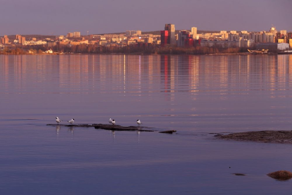 Вечерняя тишина.