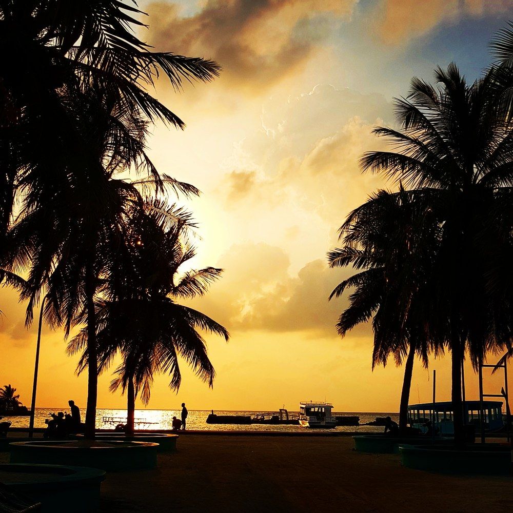 Photograph by Abdulla shaheem