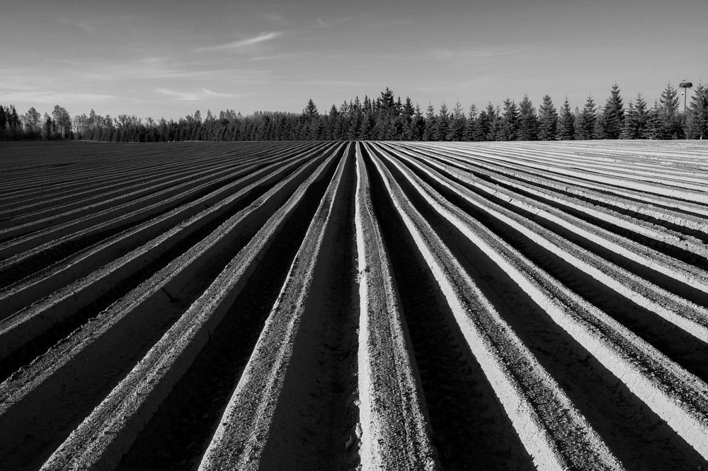 Photograph by ramune