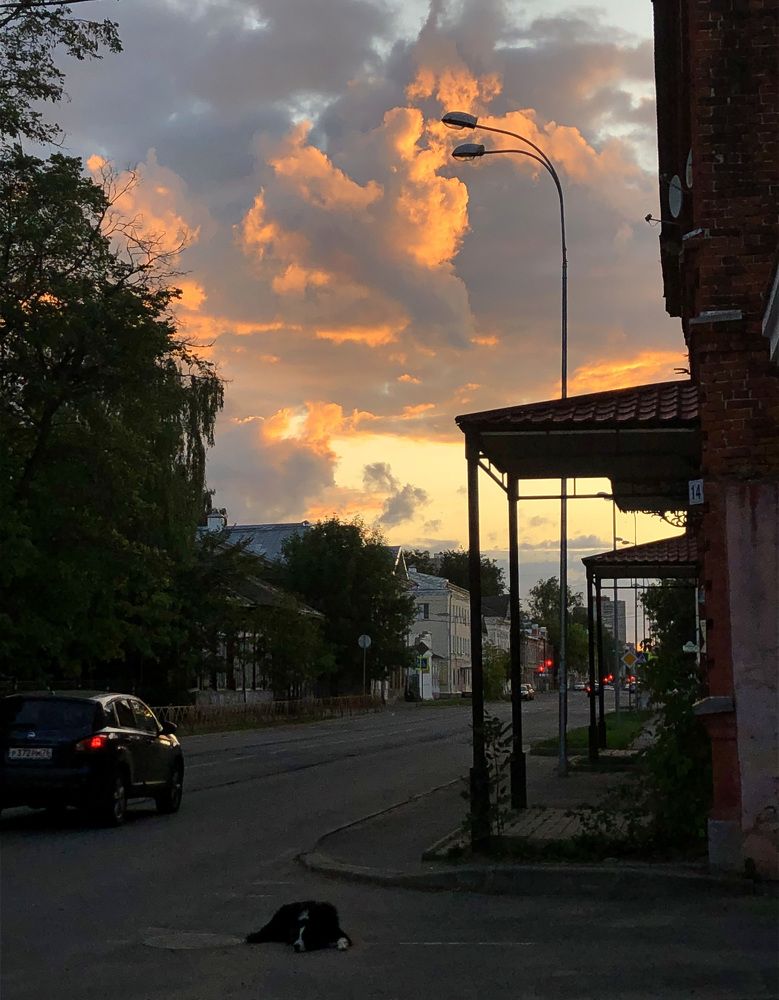 Photograph by Ксения Черных