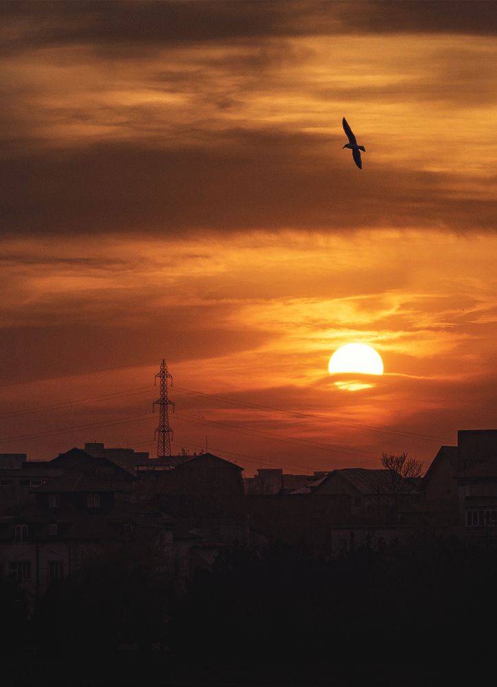 Photograph by George Sorin