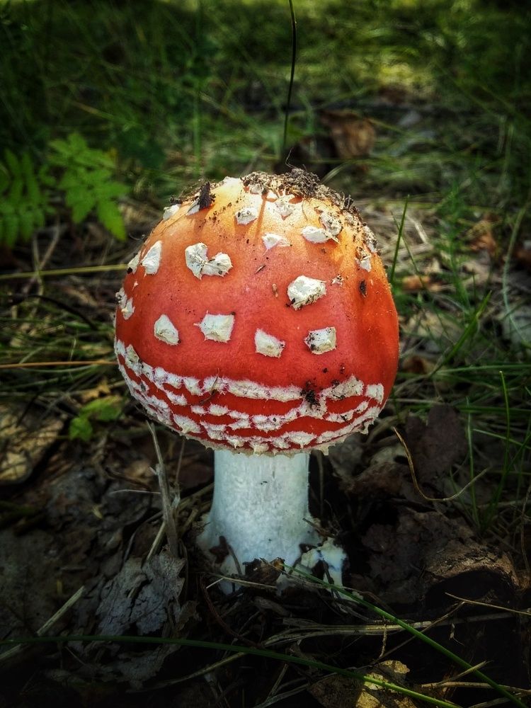 Фотография автора Евгения Снигирева