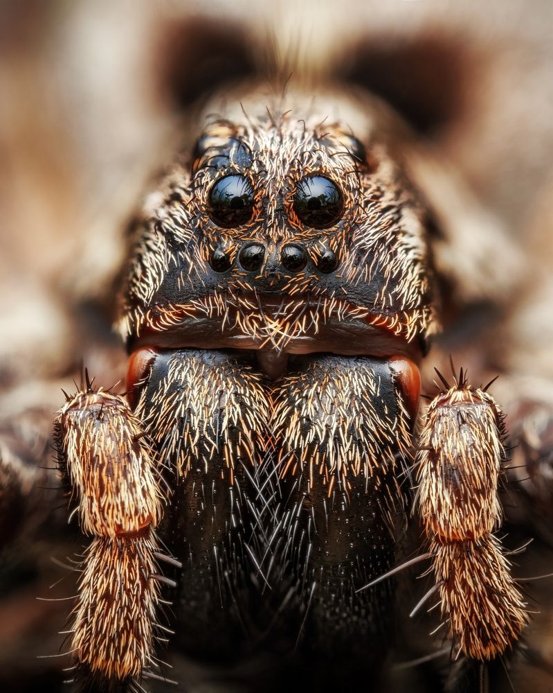 Photograph by Роман Фадеев