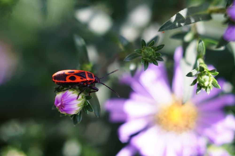 Photograph by 