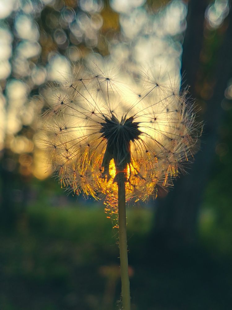 Огненный шар