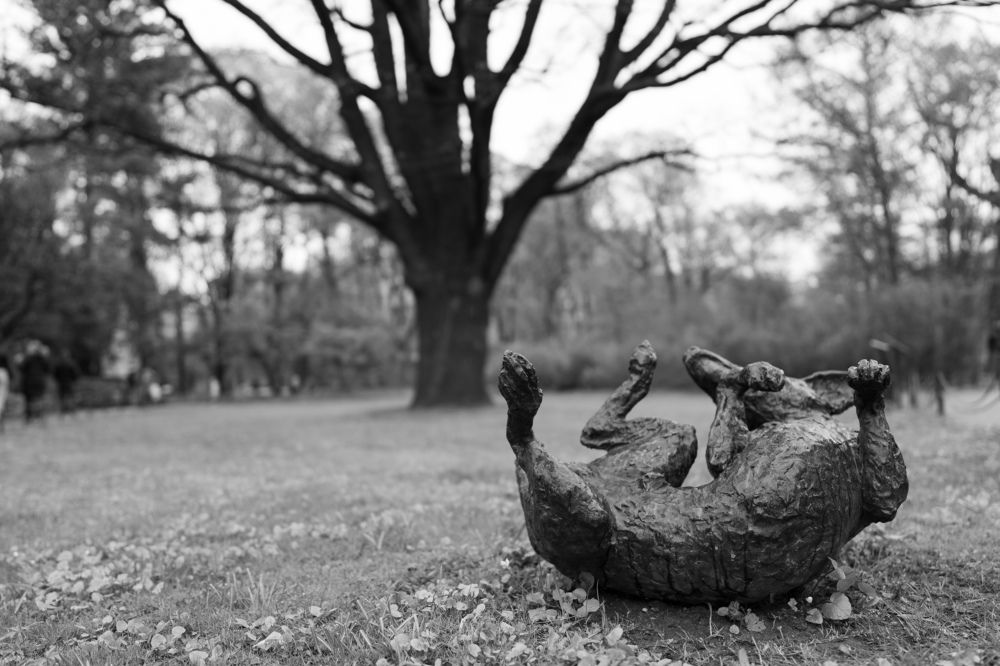 Photograph by Евгений Галич