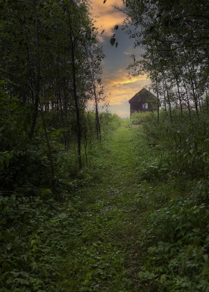 Photograph by Алёна Левченко