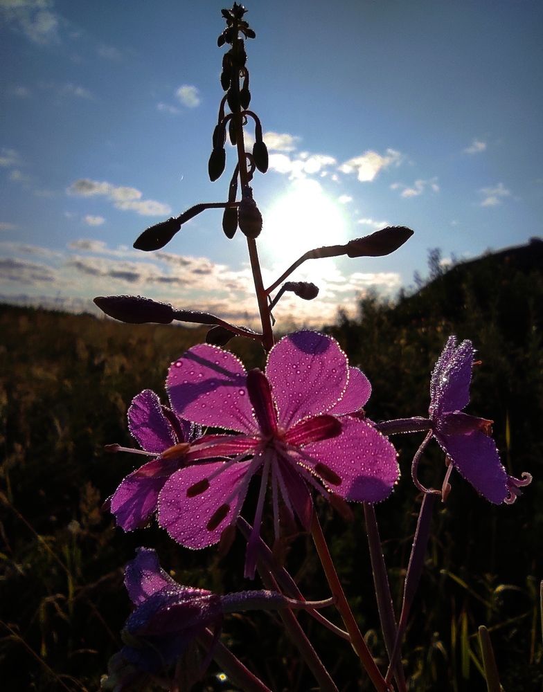 Photograph by Мария Прокопенко
