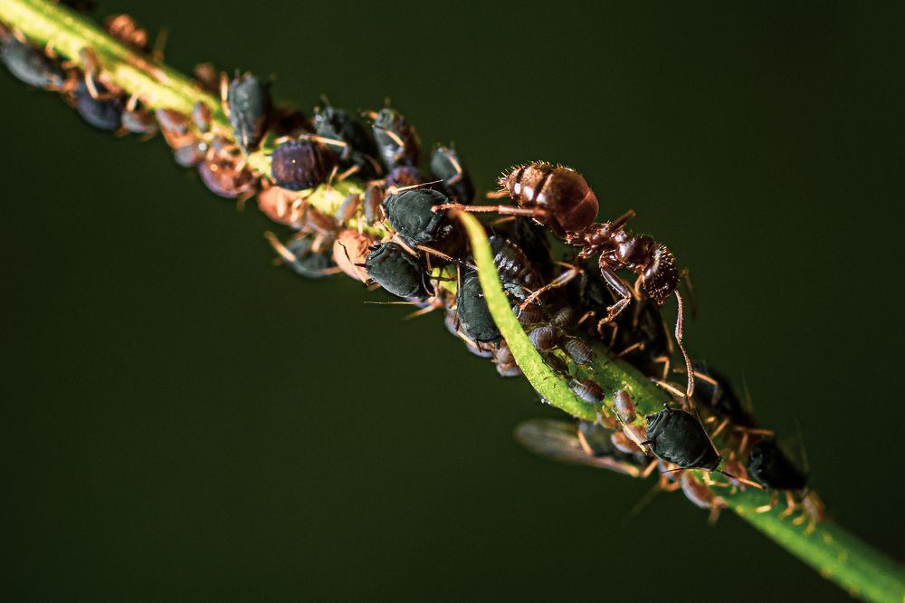 Photograph by Виктор Степанов