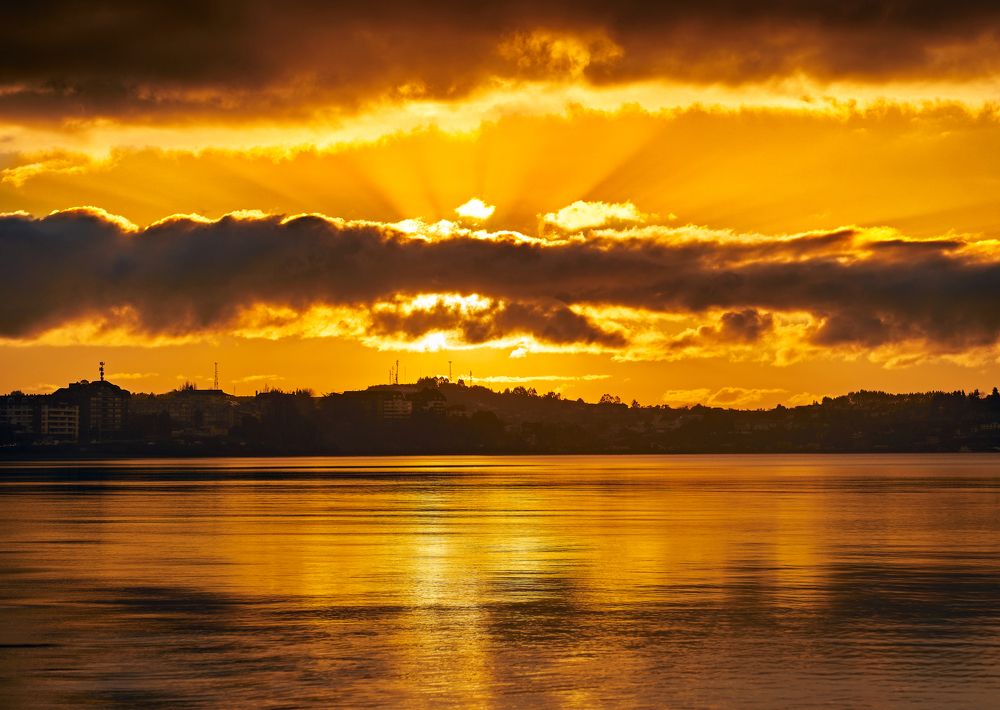 A golden winter afternoon