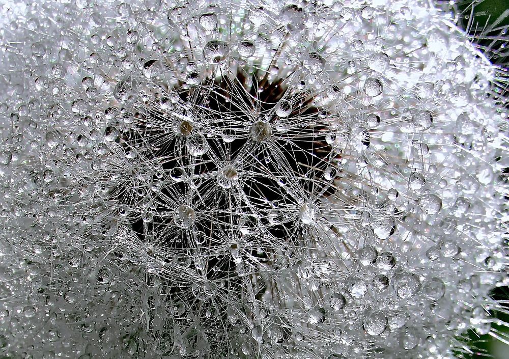 Photograph by Светлана Шмигельская