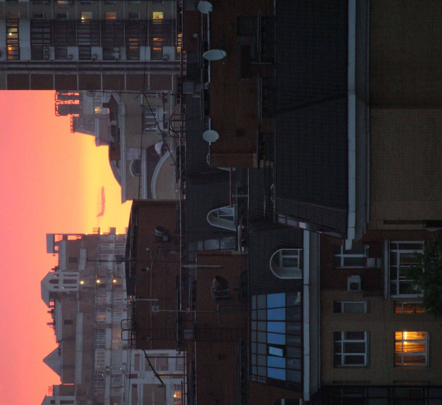 Photo #6365089