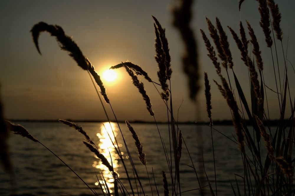 Photograph by АНДРЕЙ Роев