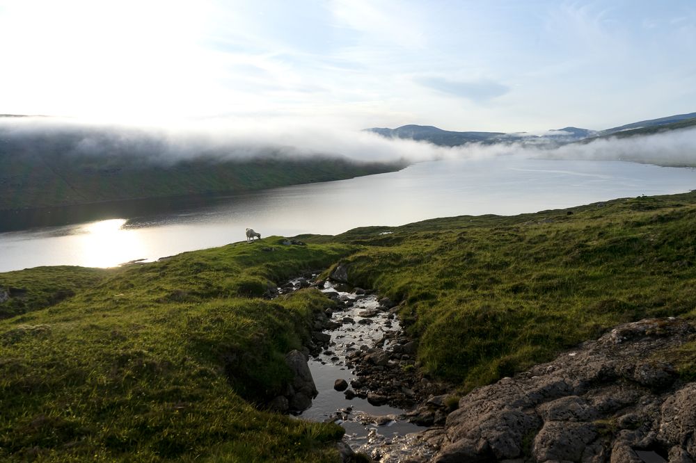 Photograph by Silja Tamme