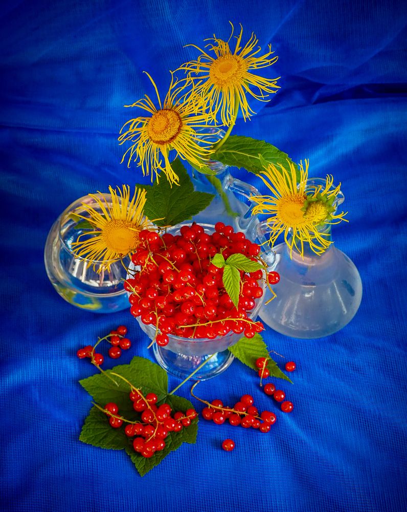 Фотография автора Olena Vorotyntseva