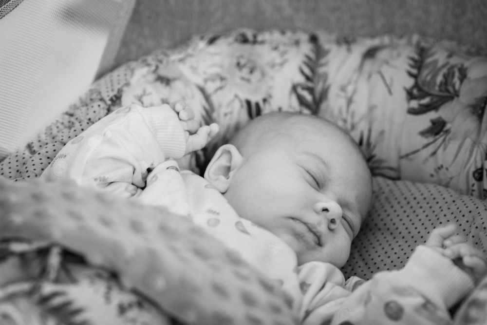 Photograph by Сергей Нагель-Синегубов