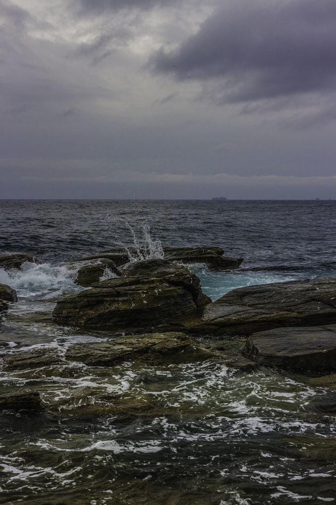 Photograph by Даниил Попков