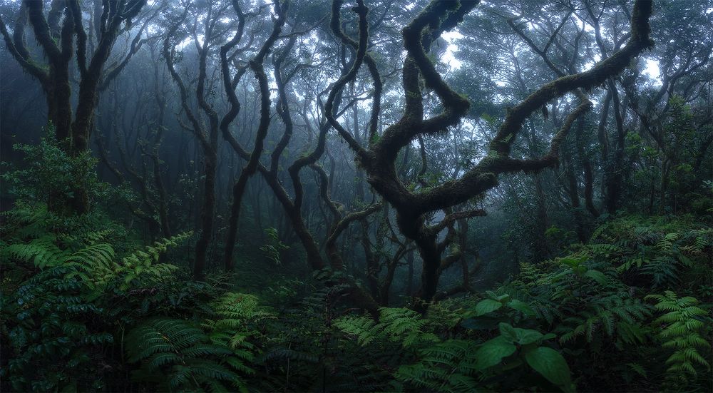 Photograph by Julio Castro Pardo