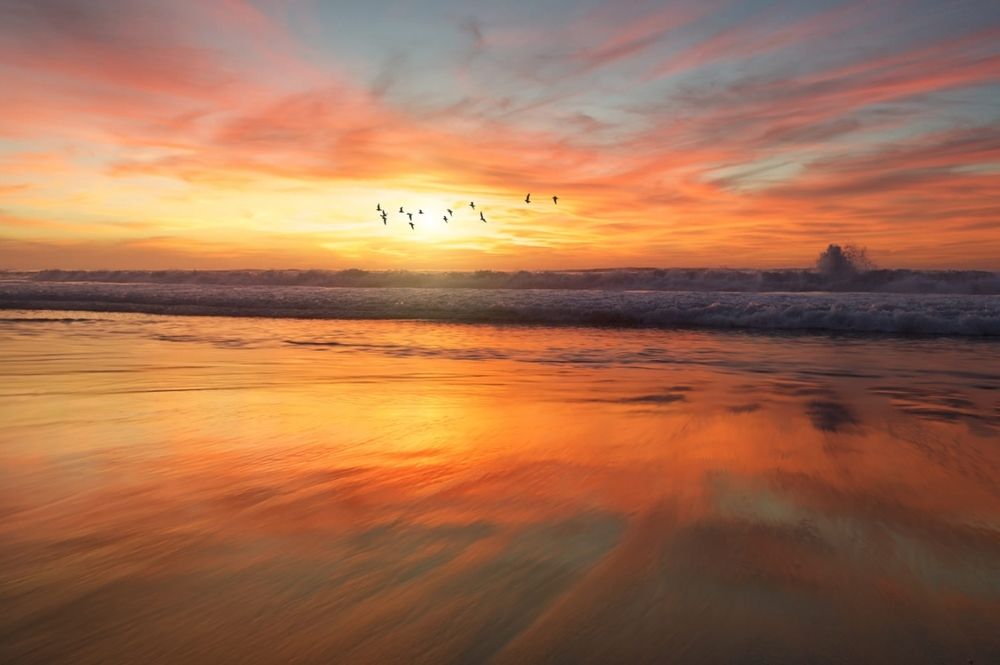 Photograph by Mustafa Tawfiq