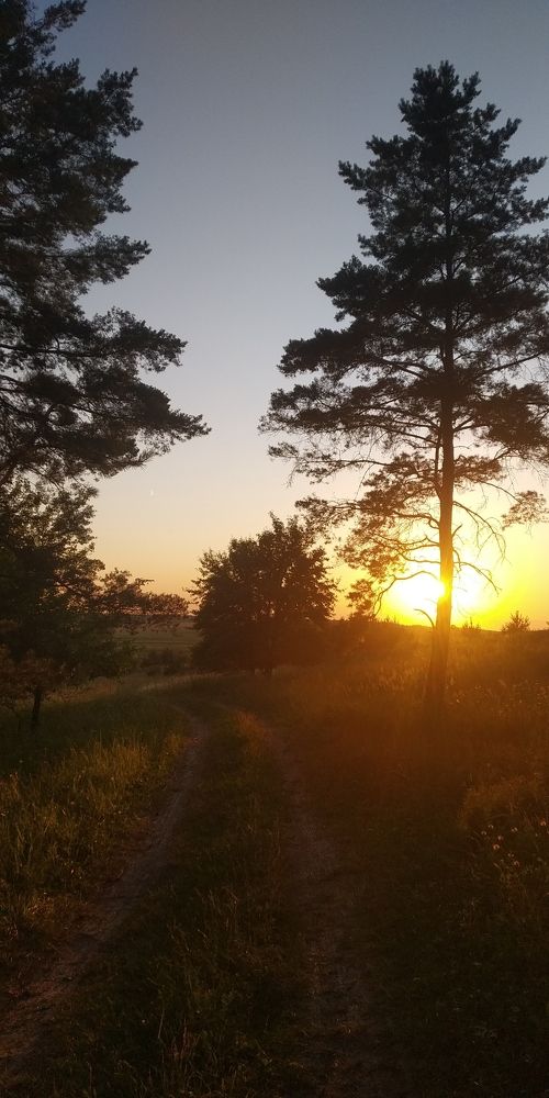 Photo #6365775