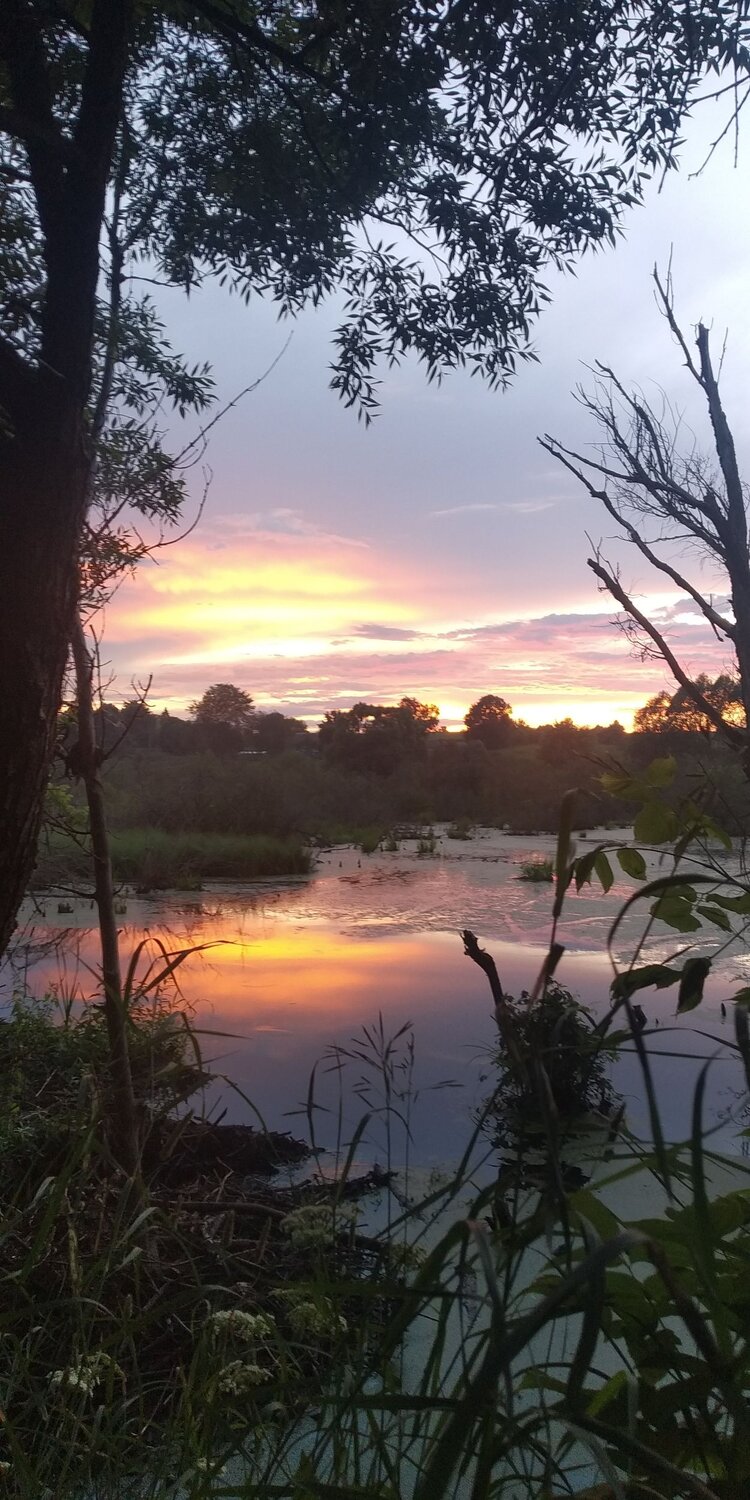 Photo #6365786