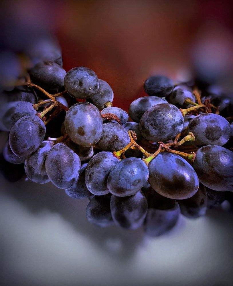 Photograph by Наталя Мартинчик