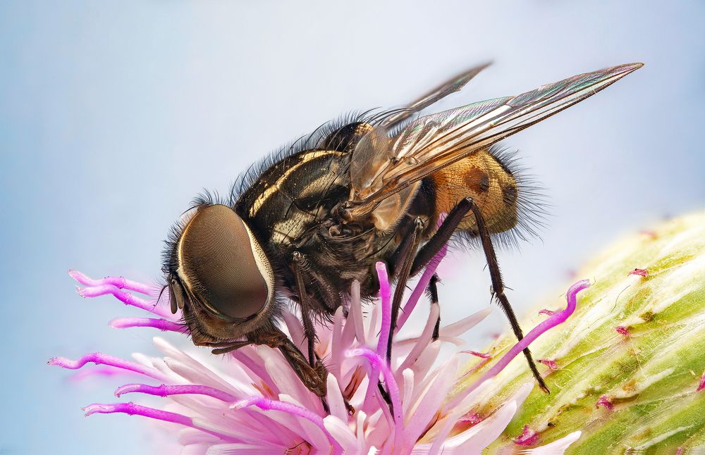 Photograph by Иван Радьков