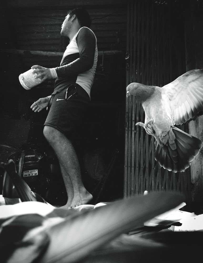 Photograph by Biswanath rout