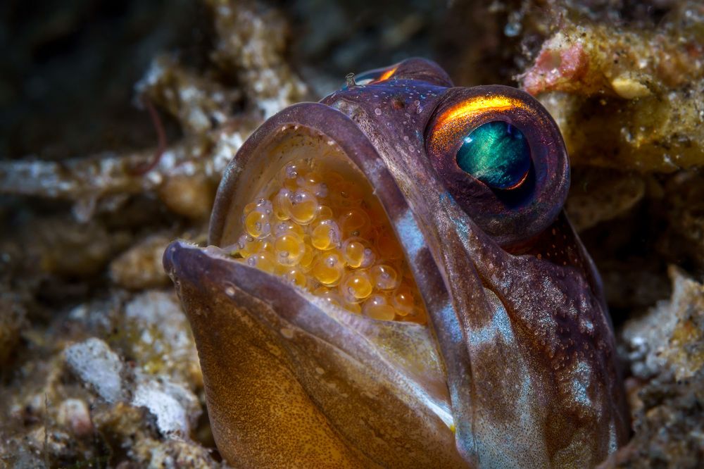 Photograph by Андрей Савин