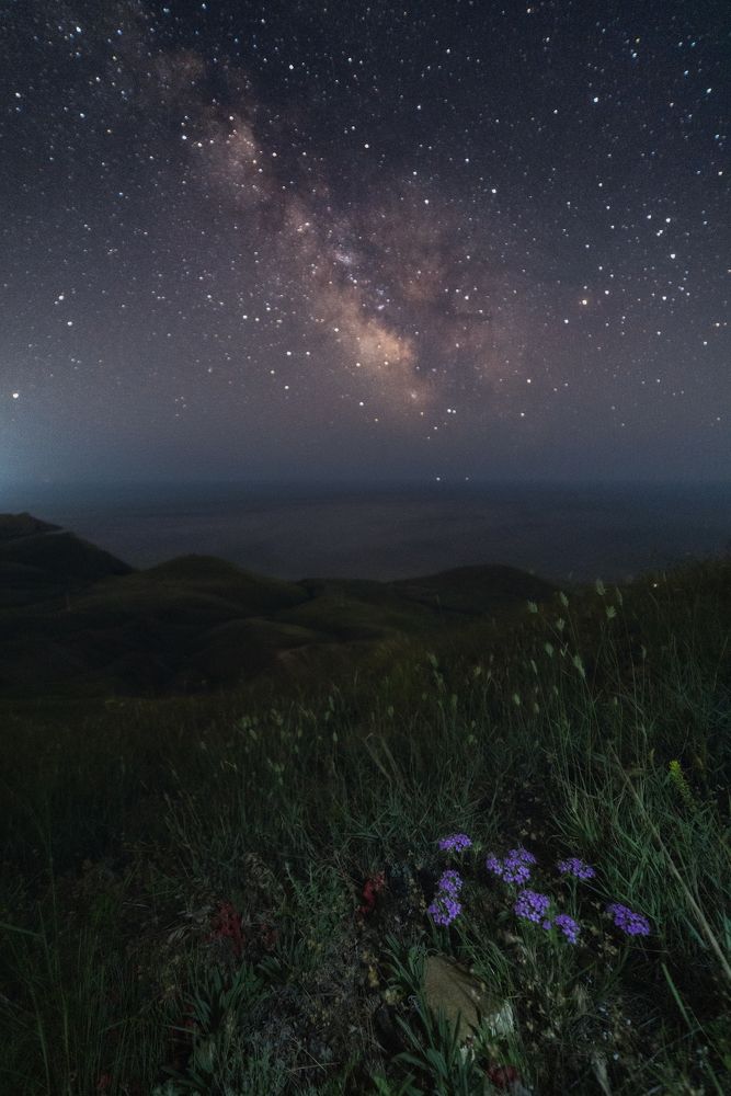 Photograph by Юлия Шумляева