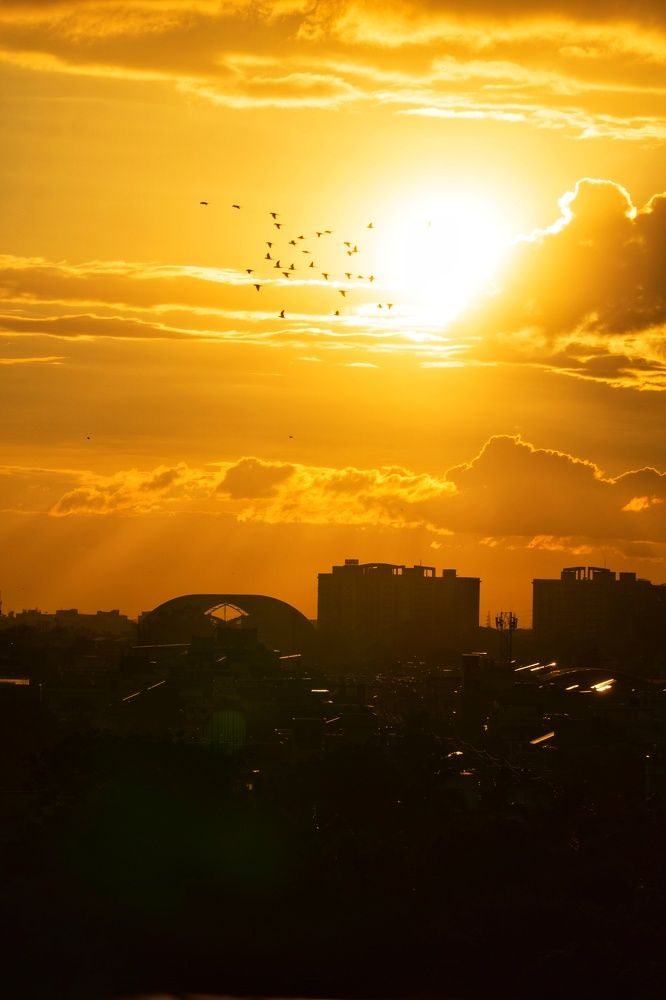 Photograph by Kriti Aggarwal